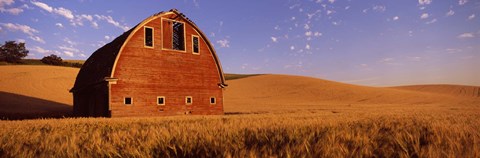 Framed Old barn in a wheat field, Palouse, Whitman County, Washington State Print
