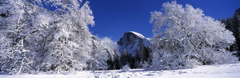 Framed Half Dome, Yosemite National Park, Mariposa County, California Print