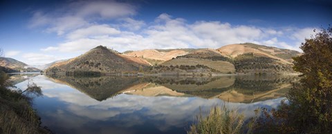 Framed Reflection of Vineyards in the River, Cima Corgo, Duoro River, Portugal Print