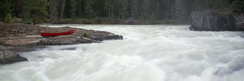 Framed River flowing in a forest, Kicking Horse River, Yoho National Park, British Columbia, Canada Print