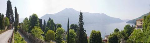 Framed Trees with a lake in background, Lake Como, Villa Passalacqua, Moltrasio, Como, Lombardy, Italy Print