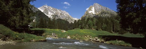 Framed Stream flowing through a forest, Mt Santis, Mt Altmann, Appenzell Alps, St Gallen Canton, Switzerland Print