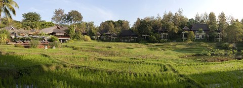 Framed Rice fieldst, Chiang Mai, Thailand Print