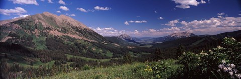 Framed Wildflowers with mountains in the background, Crested Butte, Gunnison County, Colorado, USA Print