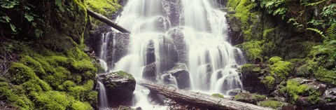 Framed Waterfall in a forest, Waheena Falls, Hood River, Oregon, USA Print