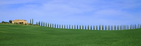 Framed Farmhouse in a field, San Quirico d&#39;Orcia, Orcia Valley, Siena Province, Tuscany, Italy Print