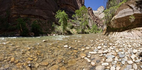 Framed North Fork of the Virgin River, Zion National Park, Washington County, Utah, USA Print