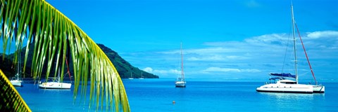 Framed Sailboats in the ocean, Tahiti, Society Islands, French Polynesia (horizontal) Print