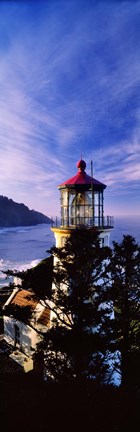 Framed Lighthouse at a coast, Heceta Head Lighthouse, Heceta Head, Lane County, Oregon (vertical) Print