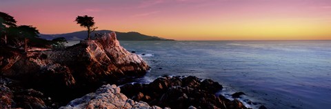 Framed Silhouette of Lone Cypress Tree at a coast, 17-Mile Drive, Carmel, Monterey County, California, USA Print