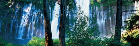 Framed Waterfall in a forest, McArthur-Burney Falls Memorial State Park, California Print