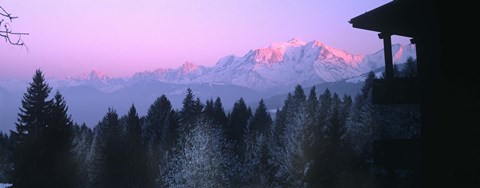 Framed Trees with snow covered mountains at sunset in winter, Combloux, Mont Blanc Massif, Haute-Savoie, Rhone-Alpes, France Print