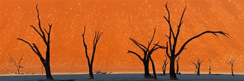 Framed Dead trees by red sand dunes, Dead Vlei, Namib-Naukluft National Park, Namibia Print