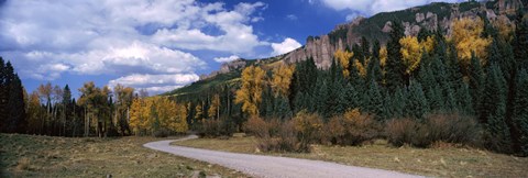 Framed Road passing through a forest, Jackson Guard Station, Ridgway, Colorado, USA Print