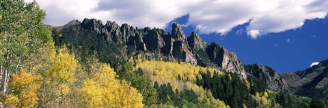 Framed Forest on a mountain, Jackson Guard Station, Ridgway, Colorado, USA Print