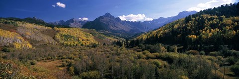 Framed Trees on mountains, State Highway 62, Ridgway, Colorado, USA Print