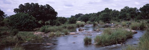 Framed Sabie River, Kruger National Park, South Africa Print
