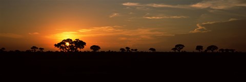 Framed Sunset over the savannah plains, Kruger National Park, South Africa Print