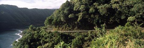 Framed Hana Highway, Maui, Hawaii Print