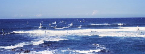 Framed Tourists windsurfing, Hookipa Beach Park, Maui, Hawaii Print