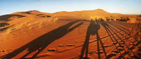 Framed Shadows of camel riders in the desert at sunset, Sahara Desert, Morocco Print