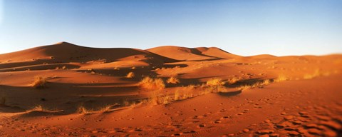 Framed Desert at sunrise, Sahara Desert, Morocco Print