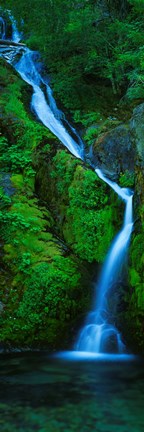 Framed Waterfall in a forest, Sullivan Falls, Opal Creek Wilderness, Oregon, USA Print