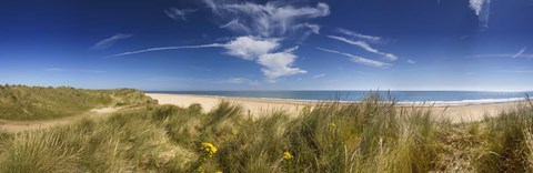 Framed Marram Grass, dunes and beach, Winterton-on-Sea, Norfolk, England Print