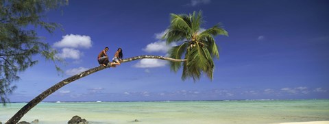 Framed Couple on trunk of a palm tree on the beach, Aitutaki, Cook Islands Print