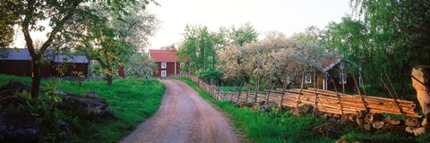 Framed Dirt road leading to farmhouses, Stensjoby, Smaland, Sweden Print