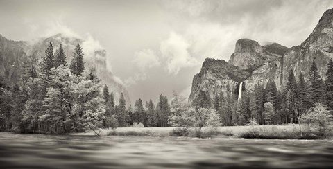 Framed River flowing through a forest, Merced River, Yosemite Valley, Yosemite National Park, California, USA Print