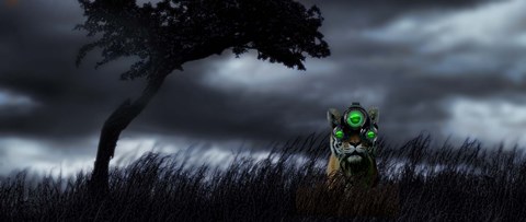 Framed Tiger wearing night vision goggles Print