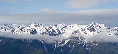 Framed Snow covered mountains, Hurricane Ridge, Olympic National Park, Washington State, USA Print