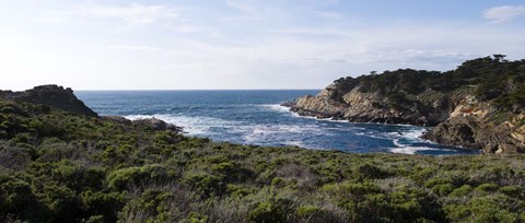 Framed Coastline, Point Lobos State Reserve, Carmel, California Print