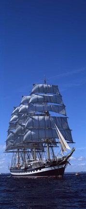 Framed Tall ships race in the ocean, Baie De Douarnenez, Finistere, Brittany, France Print