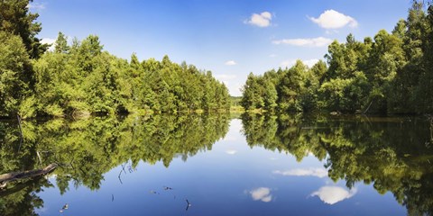 Framed Source of the Neckar River in the Schwenninger moss, Villingen-Schwenningen, Baden-Wurttemberg, Germany Print