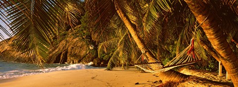 Framed Hammock between two palm trees, Seychelles Print