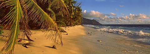 Framed Palm trees on the edge of a small beach, Seychelles Print
