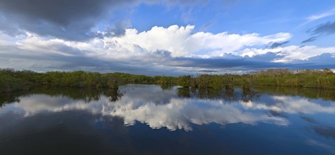 Framed Reflection of clouds on water, Everglades National Park, Florida, USA Print