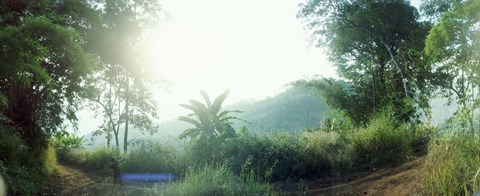 Framed Man with a slingshot in a forest, Chiang Mai, Thailand Print