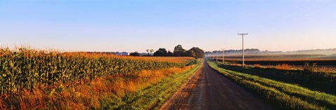 Framed Road Along Rural Cornfield, Illinois, USA Print