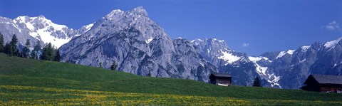 Framed Field Of Wildflowers With Majestic Mountain Backdrop, Karwendel Mountains, Austria Print