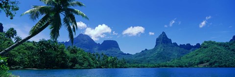 Framed Lush Foliage And Rock Formations, Moorea Island, Tahiti Print
