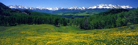 Framed San Miguel Mountains In Spring, Colorado, USA Print