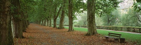 Framed City Park w/ bench in autumn Tubingen Germany Print