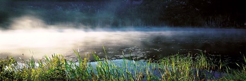 Framed Morning fog Acadia National Park ME USA Print