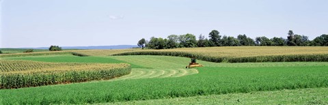 Framed Harvesting, Farm, Frederick County, Maryland, USA Print