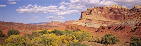 Framed Orchards in front of sandstone cliffs, Capitol Reef National Park, Utah, USA Print