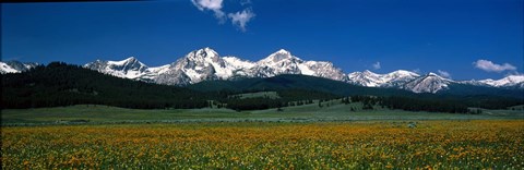 Framed Sawtooth Mtns Range Stanley ID USA Print