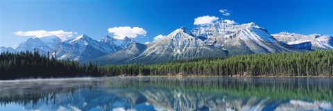 Framed Herbert Lake Banff National Park Canada Print